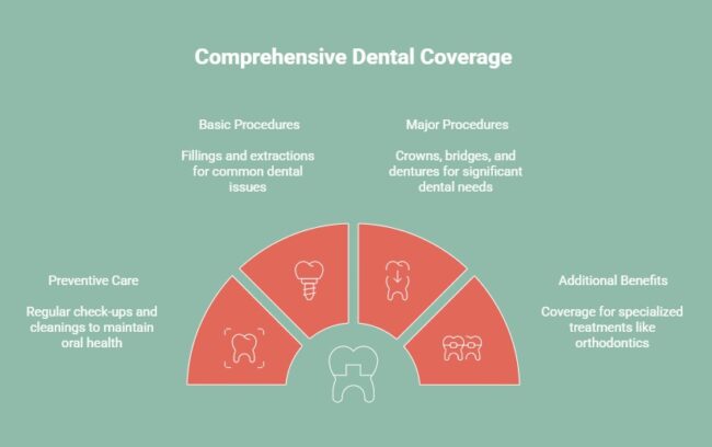 Infographic showing comprehensive dental coverage