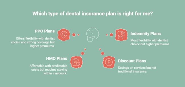 Infographic showing the dental insurance plans overview