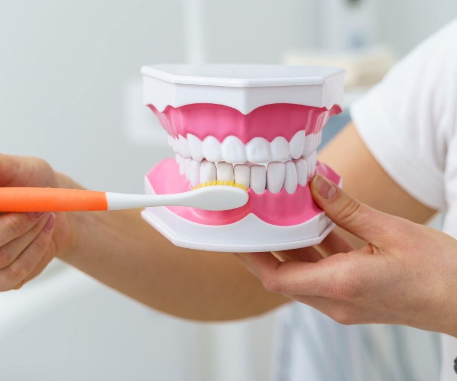 A dentist holding a dental model and demonstrating proper brushing technique with an orange toothbrush.