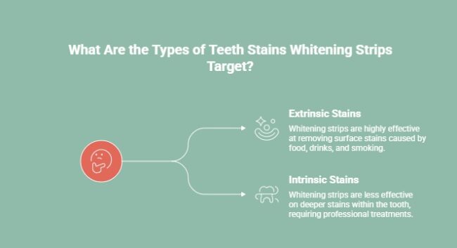 Infographic explaining the types of teeth stains whitening strips target: extrinsic stains, which are effective for surface stains caused by food, drinks, and smoking, and intrinsic stains, which are less effective and require professional treatments for deeper stains within the tooth.