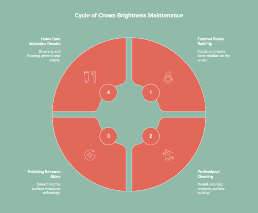 Infographic on Can Surface Stains Be Removed From a Crown