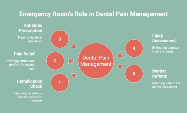 Infographic on Emergency Room's Role in Dental Pain Management