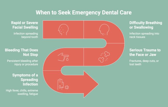 Infographic on When to Seek Emergency Dental Care