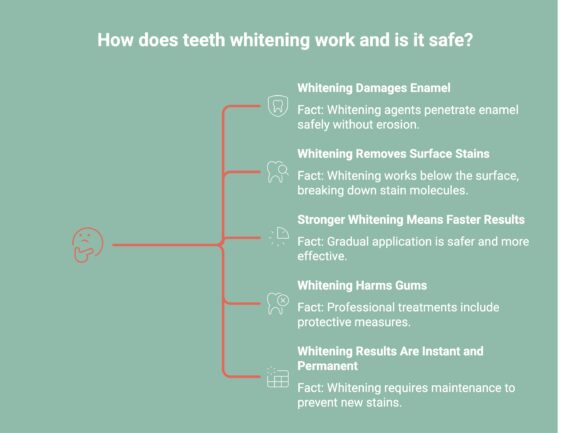 Infographic showcasing How Teeth Whitening Works