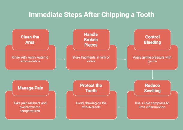 Infographic on Immediate Steps After Chipping a Tooth