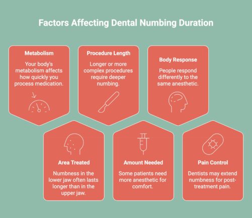 Infographic on Factors Affecting Dental Numbing Duration