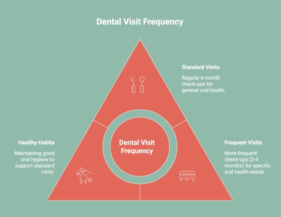 Infographic on Dental Visit Frequency