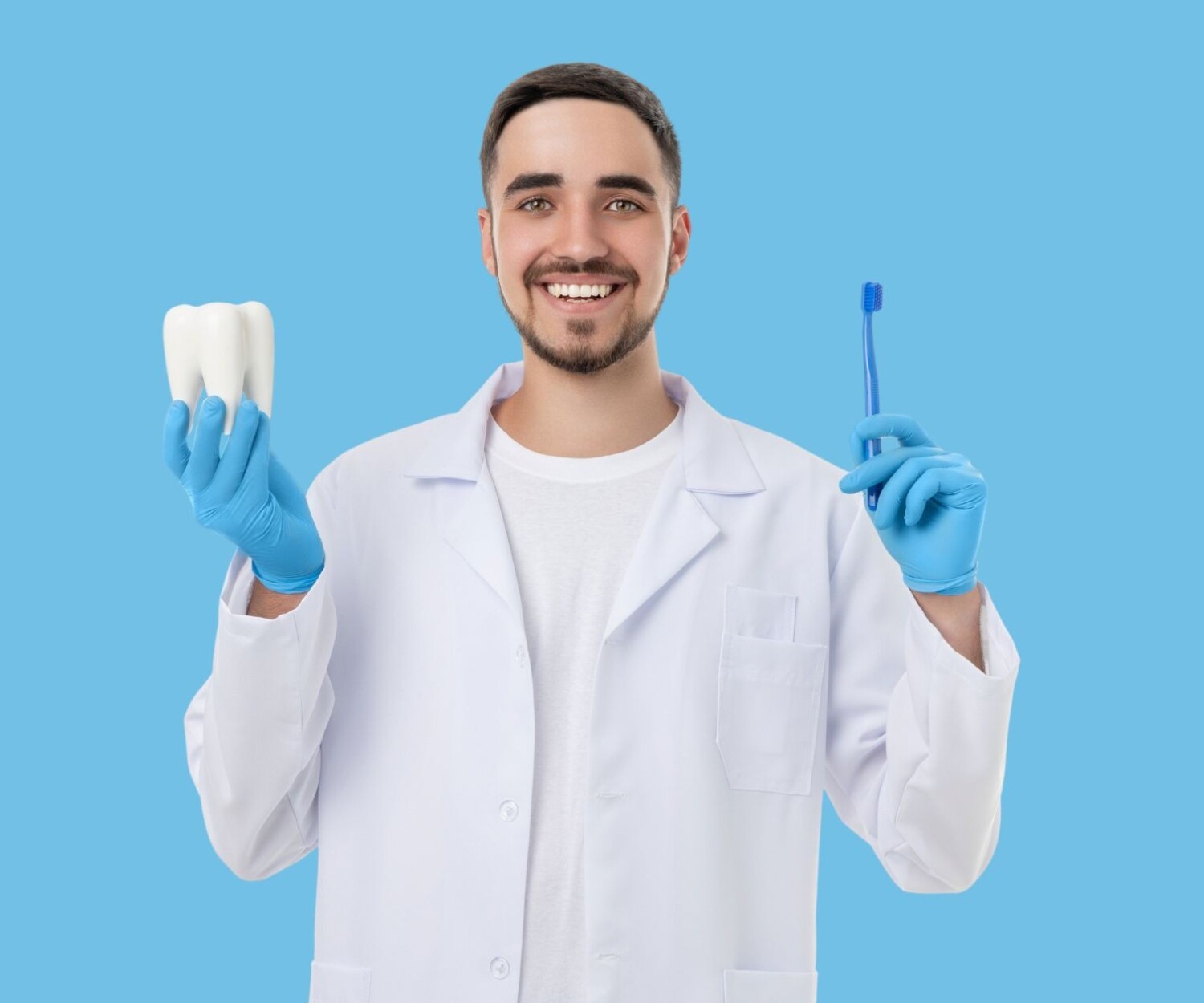 Dentist holding a teeth model and a tooth brush